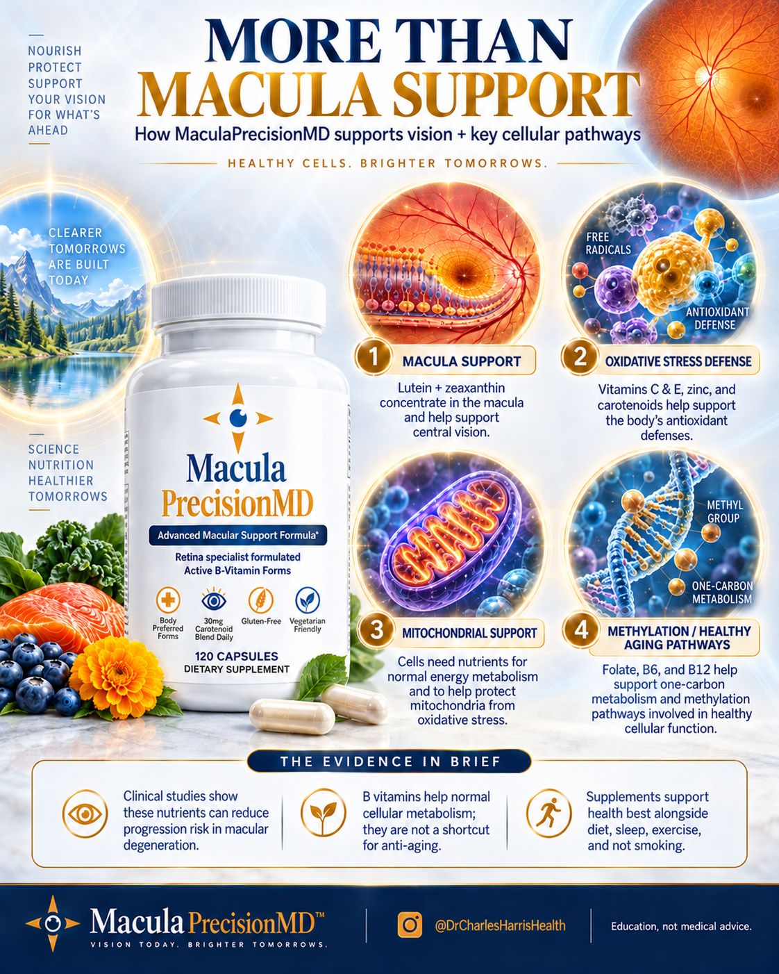 Macula PrecisionMD slide 1