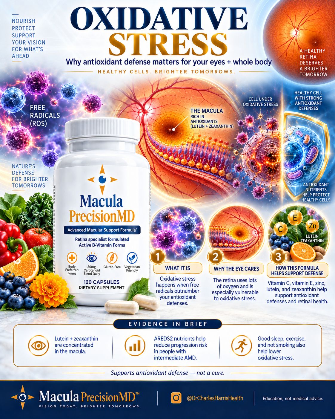 Macula PrecisionMD slide 3