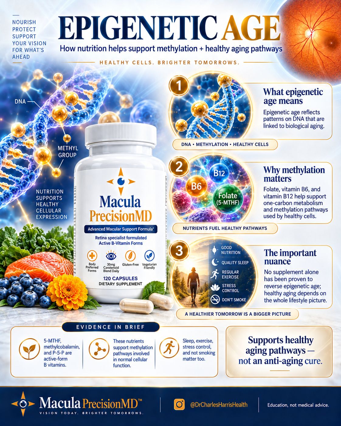 Macula PrecisionMD slide 5