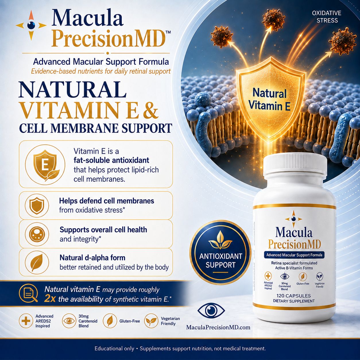 Macula PrecisionMD slide 8